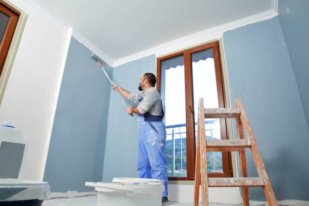 Best Mold Damage Restoration  in Dysart, IA