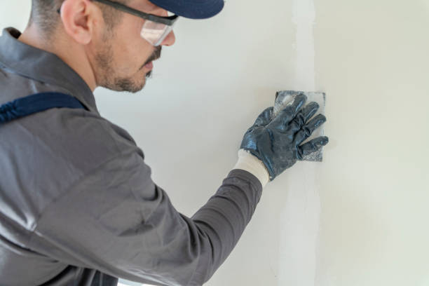 Mold Documentation for Insurance Claims in Dysart, IA