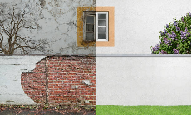 Best Industrial Mold Remediation  in Dysart, IA