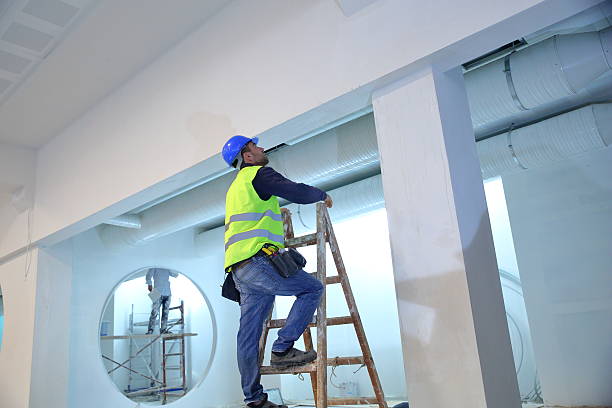 Best Mold Prevention Services  in Dysart, IA